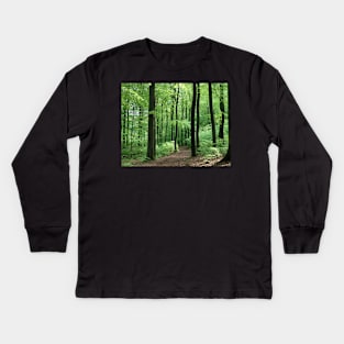 Beech  wood in spring Kids Long Sleeve T-Shirt